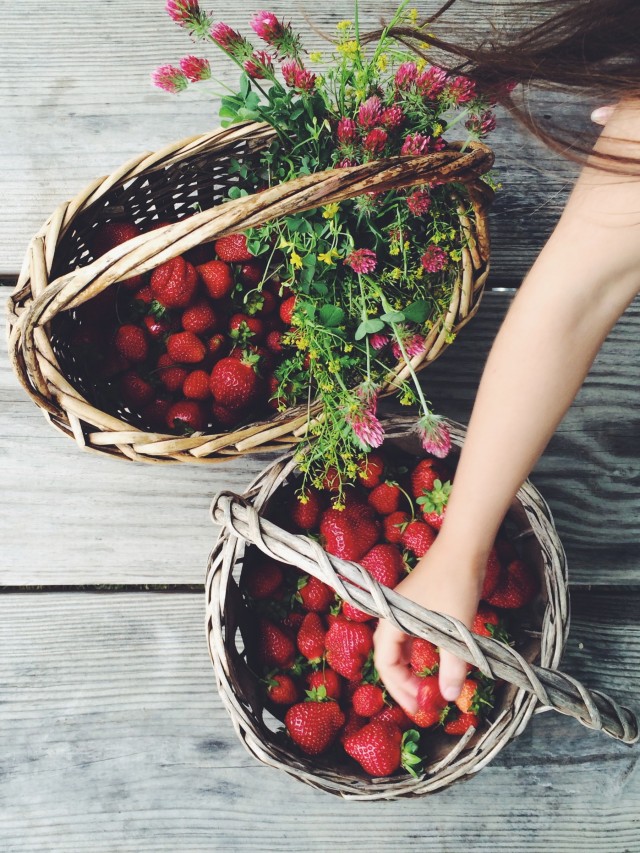 Strawberry Picking