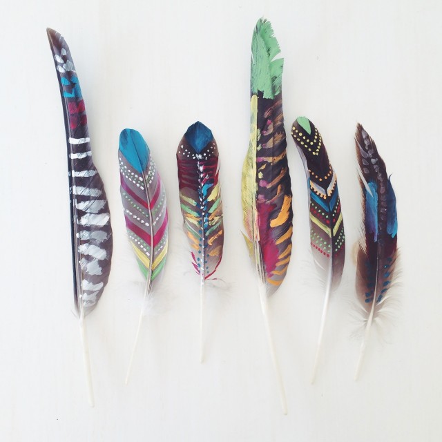 Painted Feathers