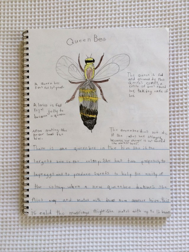 Study Bees With Children