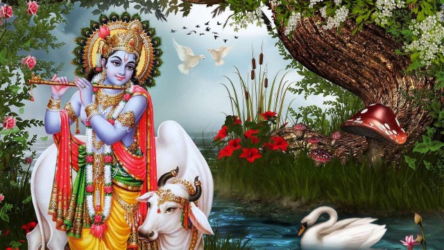 lord-krishna-wpc-week-247-click-full-size_2560x1440