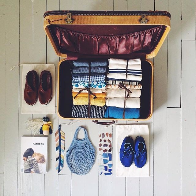 Magnesium Blue Suitcase